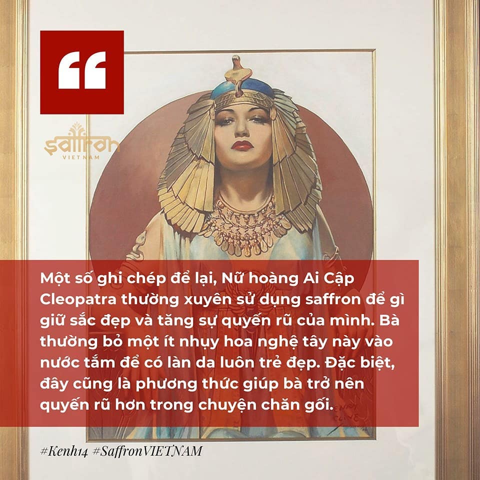saffron tăng cường sinh lý